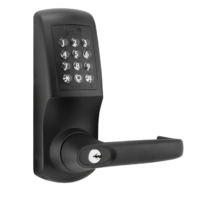 SimpleAccess Mifare KeyInCode 5500 Wi-Fi Smart Lock (Black)