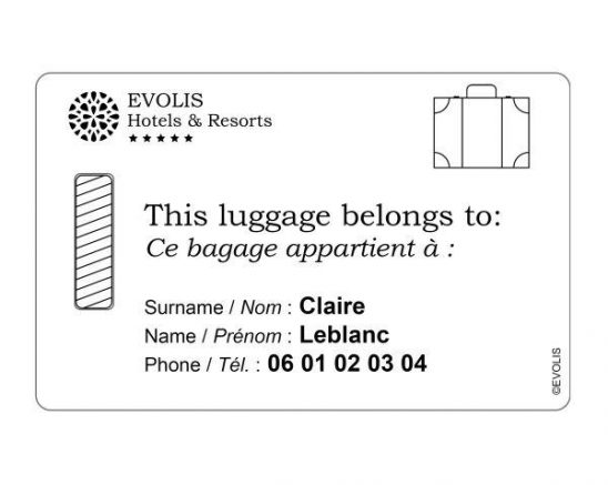 EVOLIS PAPER CARDS PACK OF 500 2